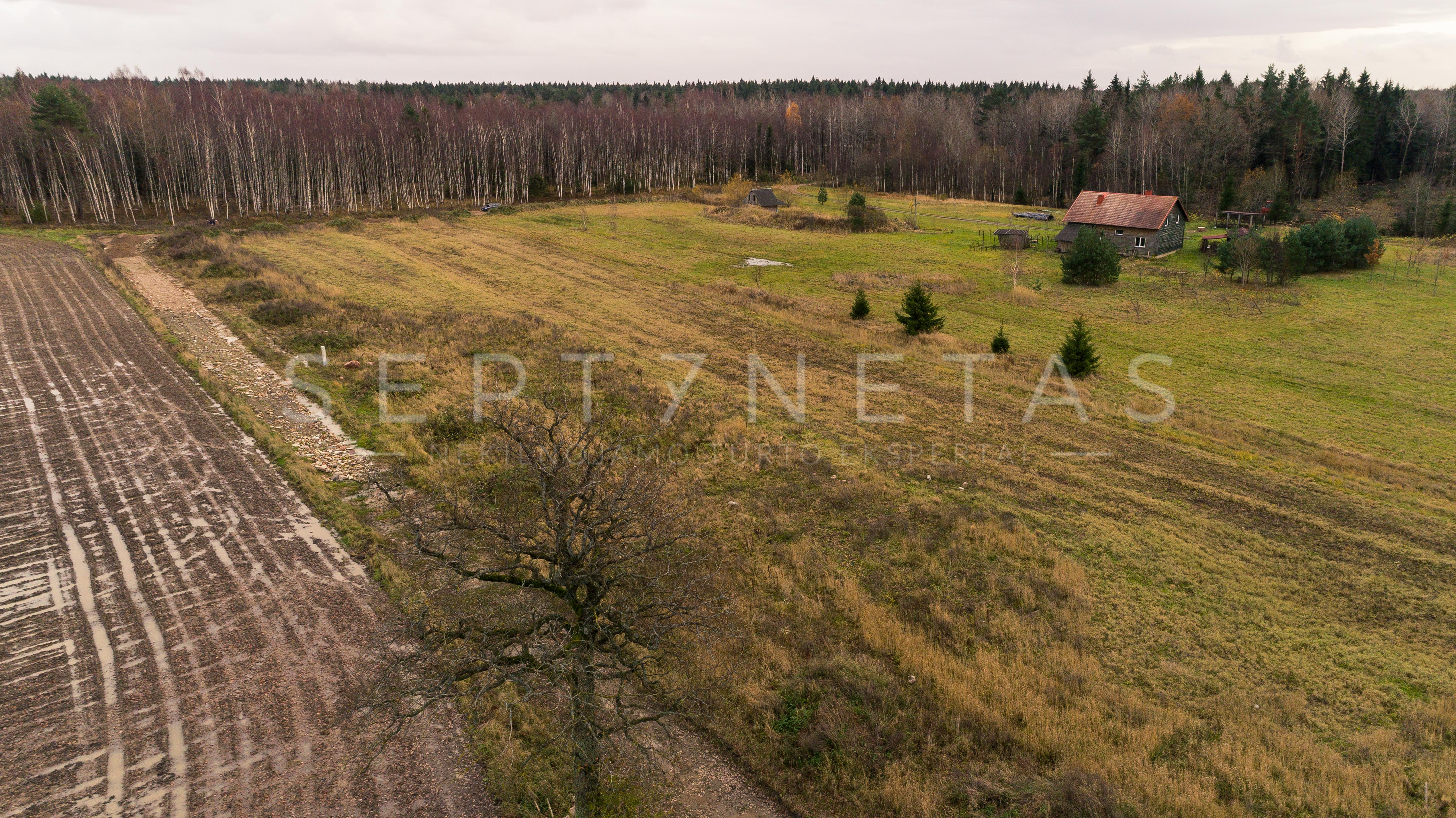 lgųjų Pievų g,Sklypas,lgųjų Pievų g,1171